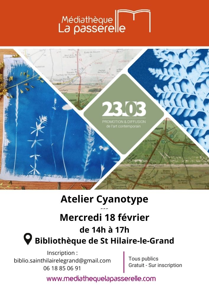 2026 02 18 cyanotype