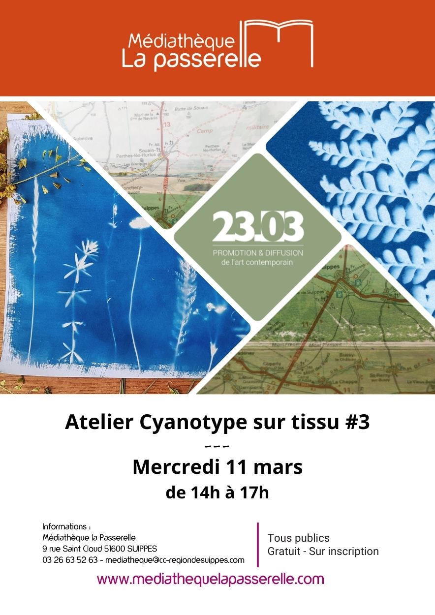 2026 03 11 cyanotype3